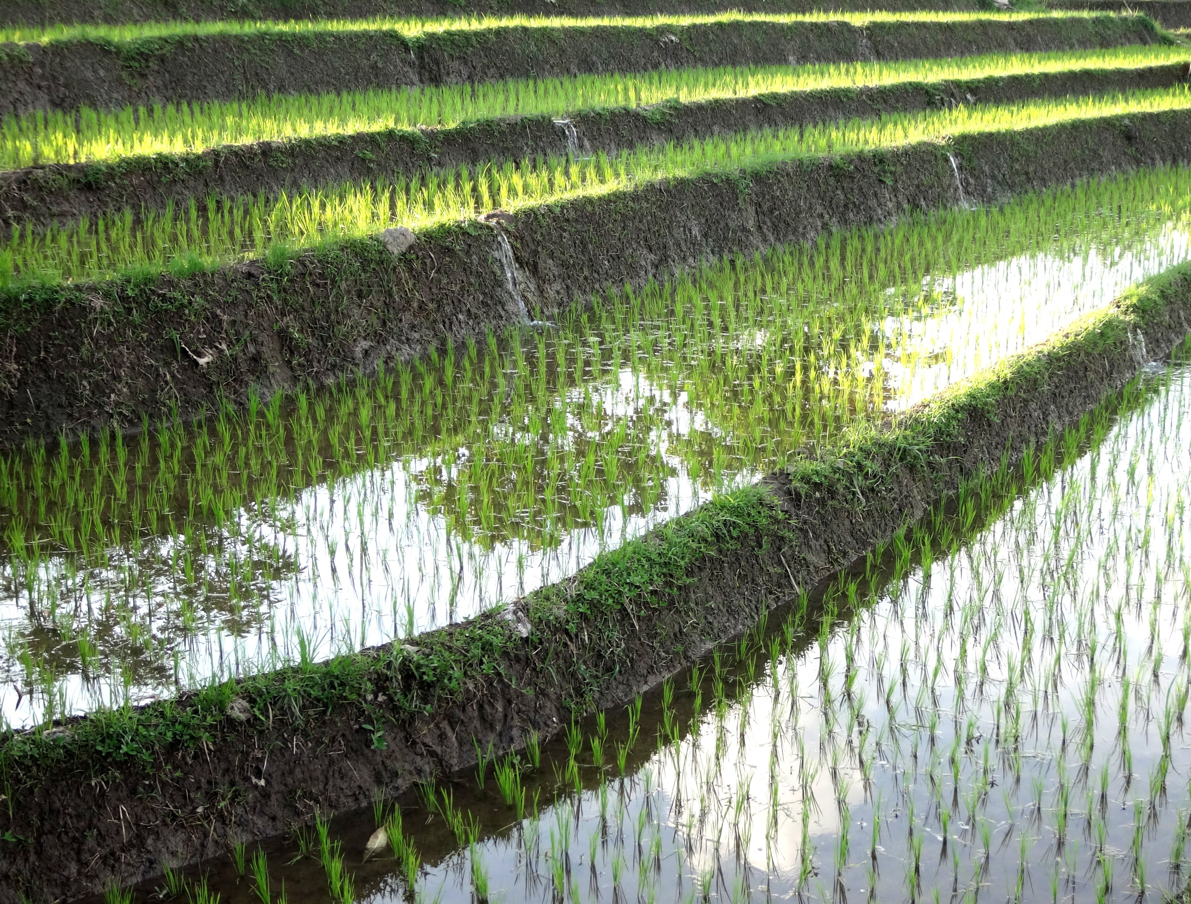 DSC01839 - Edited (1)