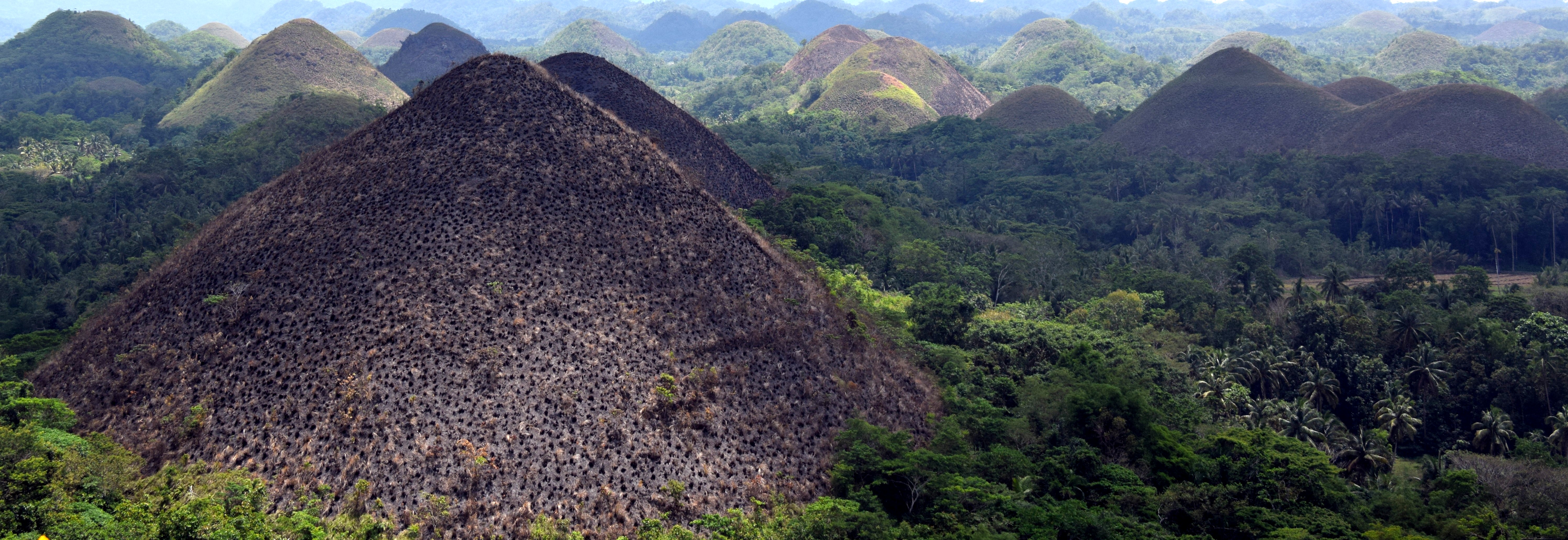 DSC_0925 - Edited (1)