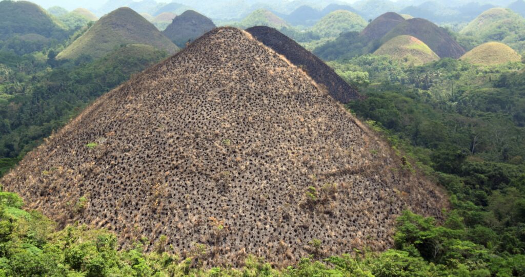 Les Chocolate Hills, collines coniques de l’île de Bohol aux Philippines