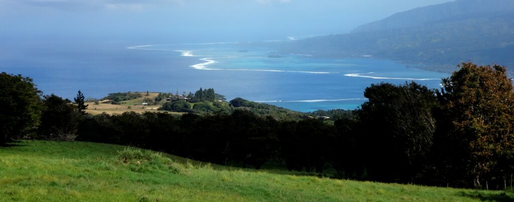 Côte verdoyante de la presqu’île de Tahiti en Polynésie française