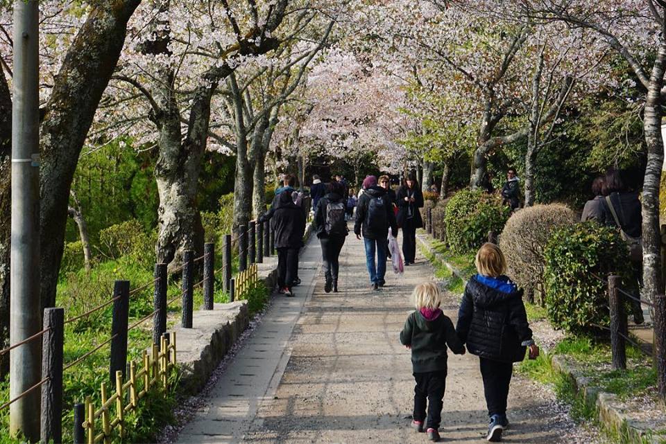 56852818_2335679483143787_3748359310887878656_n