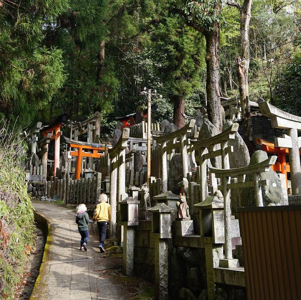 56890350_2331657780212624_4187510362465107968_n