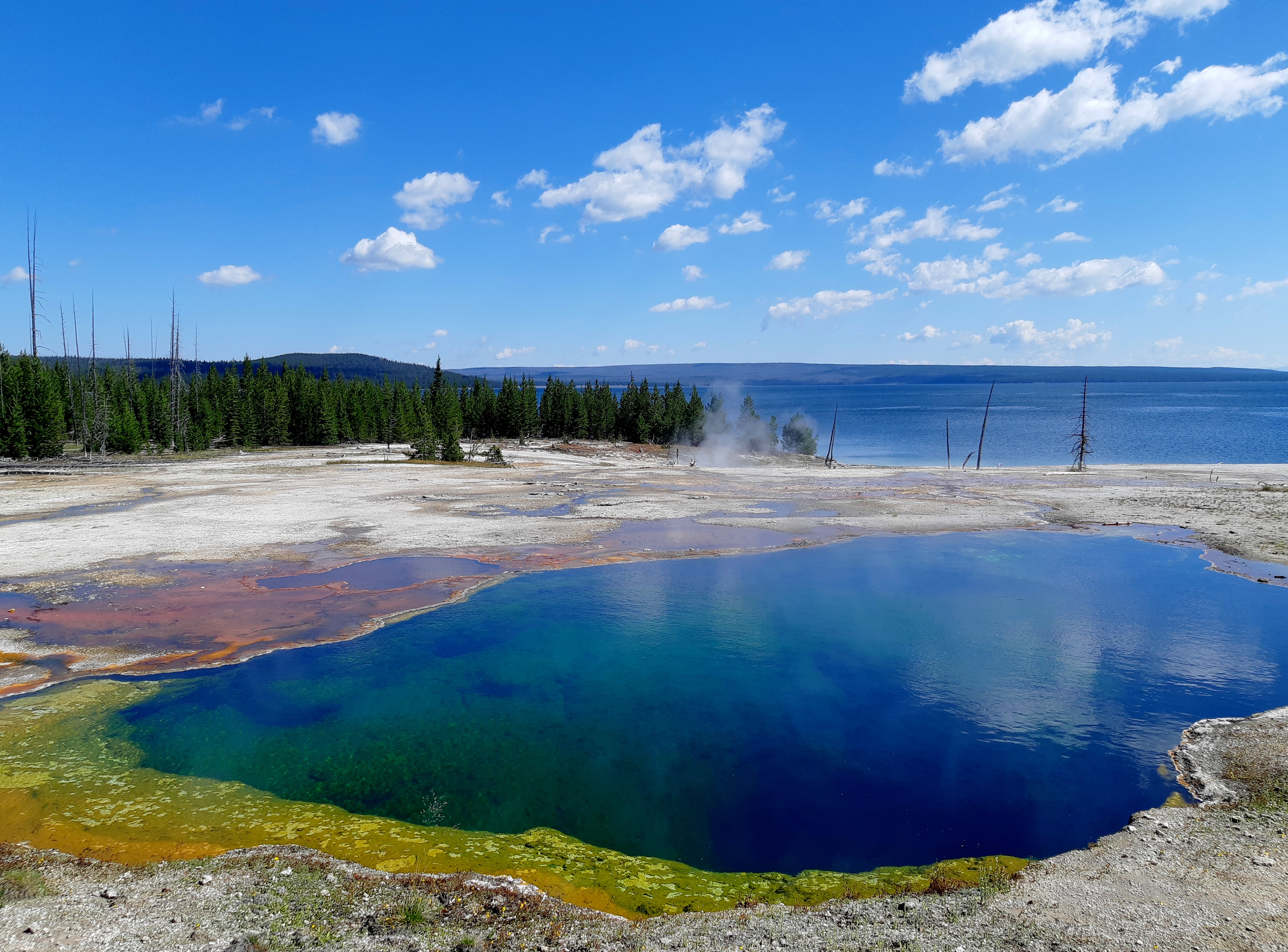 20190728_104239_ShiftN