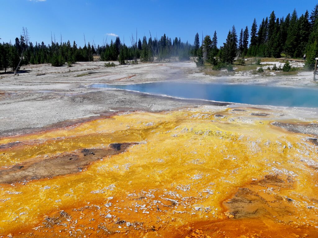 Source chaude aux couleurs vives dans le parc de Yellowstone