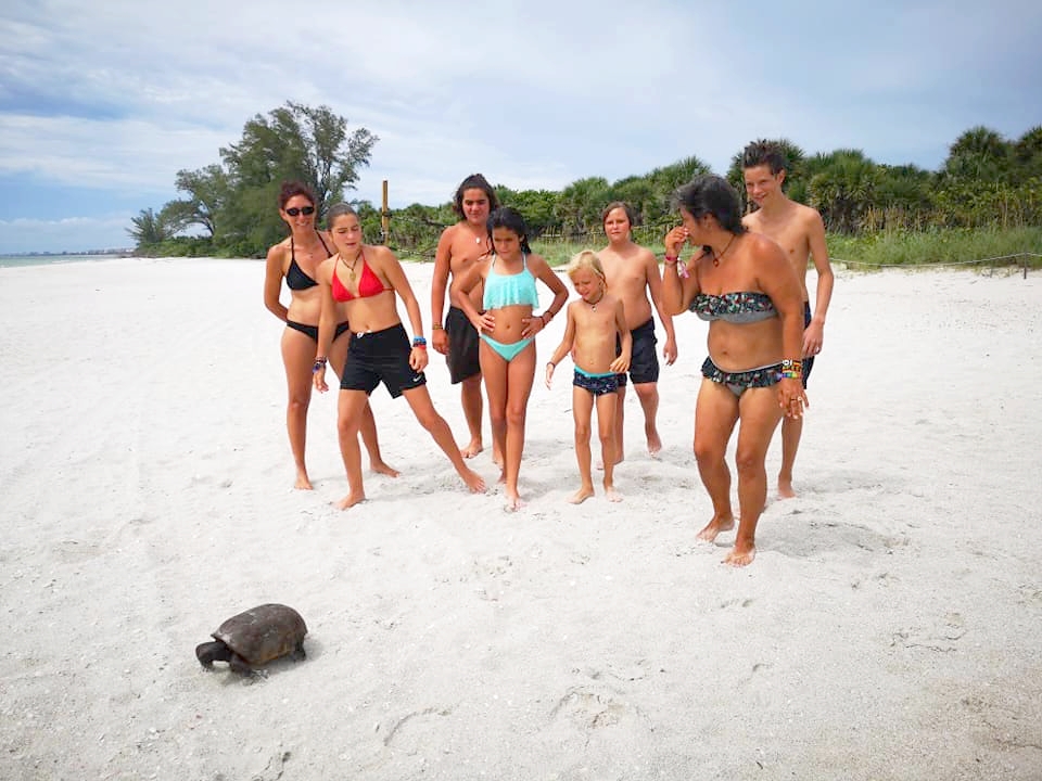 68608946_2292226340827127_6521009112774344704_n