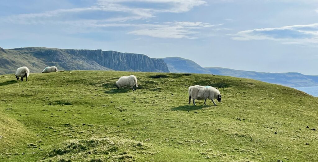 Hello l&rsquo;Écosse !